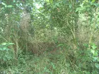 BILD1226.webp