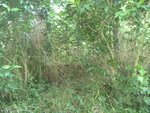 BILD1226.JPG