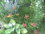 BILD1263.JPG