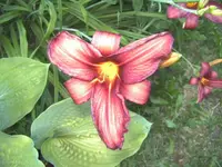 BILD1265.webp