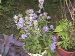 BILD1270.JPG