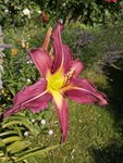 IMG_20190701_172026.jpg