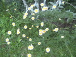 BILD1261.JPG