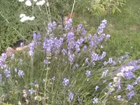 BILD1264.JPG