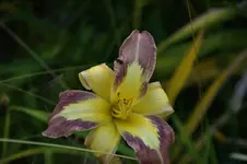 DSC07942.webp