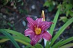 DSC07944.JPG