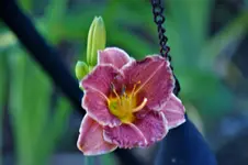 DSC07945.webp