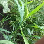 20190702_130025[1].webp