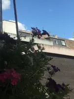 C1E10EBA-6BC9-4D58-AD34-6224CB3D9486.webp C1E10EBA-6BC9-4D58-AD34-6224CB3D9486.webp