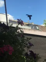 0509290C-FB80-4C78-998A-744AFC6A2056.webp 0509290C-FB80-4C78-998A-744AFC6A2056.webp