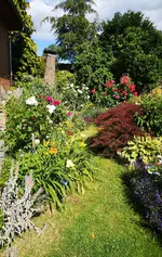 IMG_20190702_170734.webp