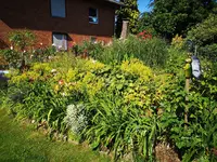 IMG_20190702_165402.webp