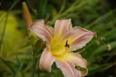 DSC07950.webp