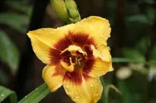 DSC07951.webp