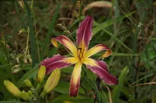 DSC07955.webp