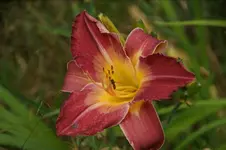 DSC07956.JPG