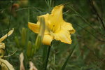 DSC07958.JPG
