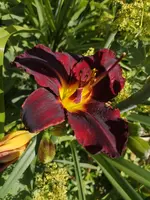 IMG_20190702_165419.webp