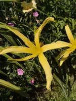 IMG_20190702_165654.webp