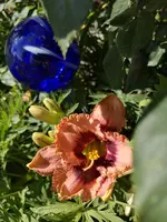 IMG_20190702_165735.webp