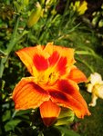 IMG_20190702_170828.jpg