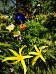 IMG_20190702_170845.jpg