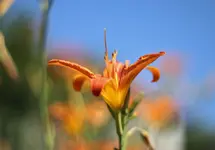 image001.webp