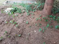20190622_182442.jpg