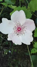 IMG_20190613_162615.webp