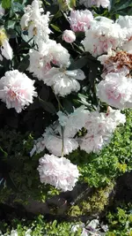 IMG_20190613_164706.webp