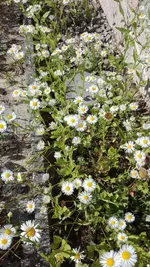 IMG_20190613_163408.webp