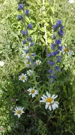 IMG_20190613_163315.webp