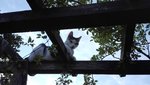 IMG_20190625_205029.jpg