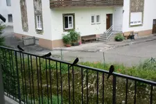 Schwalben0115.webp