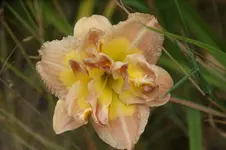 DSC07959.JPG