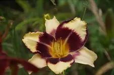 DSC07960.webp