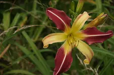 DSC07961.webp