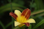 DSC07964.JPG