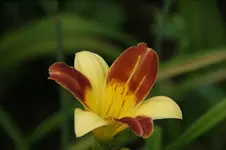 DSC07964.webp