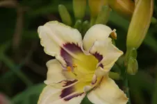 DSC07965.webp