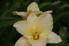 DSC07966.JPG