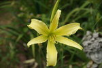 DSC07967.JPG