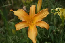 DSC07968.webp
