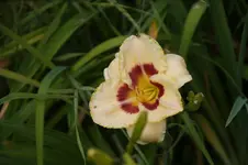 DSC07970.webp