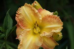 DSC07973.JPG