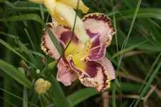DSC07974.webp