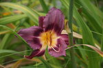 DSC07975.JPG