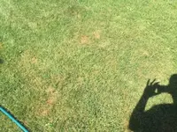 image4.webp