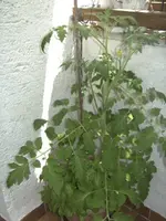 BILD1280.webp