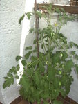 BILD1280.JPG